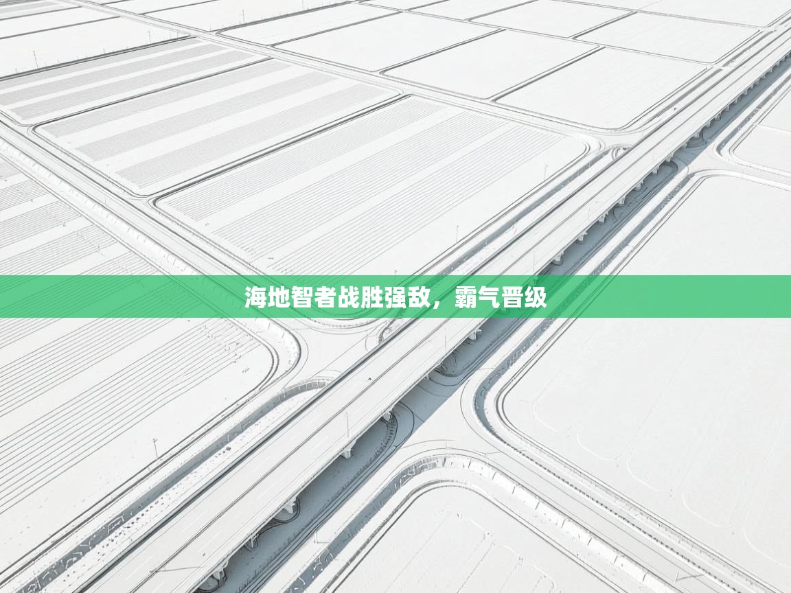 海地智者战胜强敌,霸气晋级 第2张